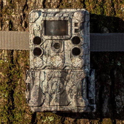 Piège photographique Bushnell Core S 4K 30MP No Glow