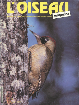 L'Oiseau Mag n° 12