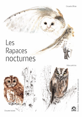 Carte postale LPO - Rapaces nocturnes