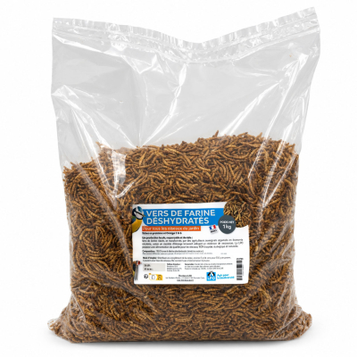Vers de farine LPO 1 kg