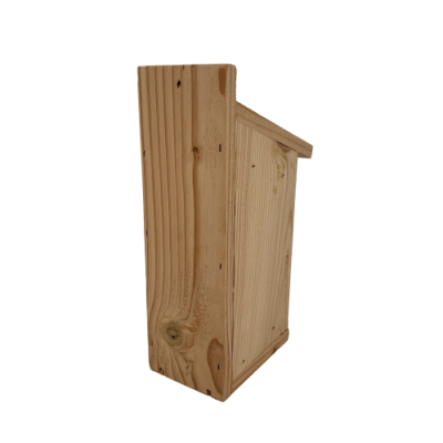 Gîte abeilles solitaires