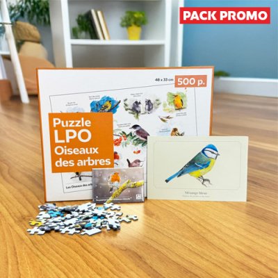 Pack Oiseaux des jardins
