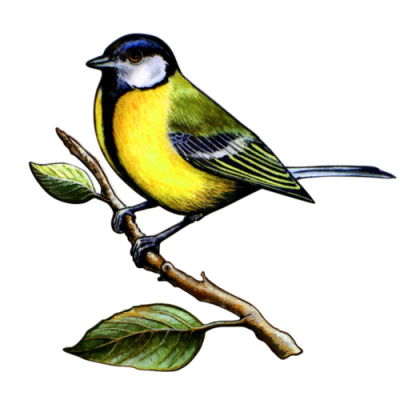 Sculpture métal petit modèle mésange charbonnière