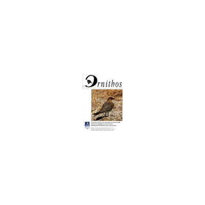 Ornithos N°09/6, Novembre-Décembre 2002