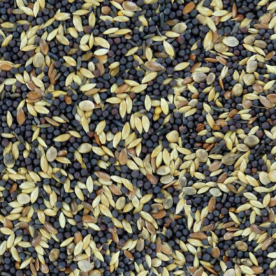 Mélange Chardonneret élégant 1,8 kg