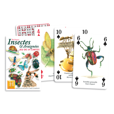 Jeu de 54 cartes Insectes et araignées