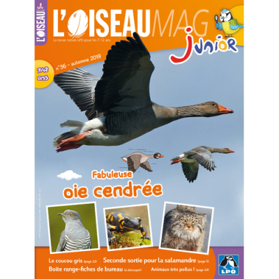 L'Oiseau Magazine Junior n°36