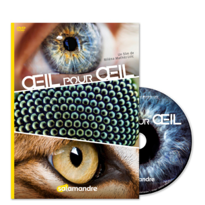 DVD Oeil pour oeil