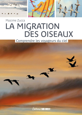 La migration des oiseaux, Nouvelle édition