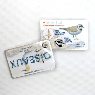 Guide de reconnaissance de la faune et de la flore - Les oiseaux de rivages