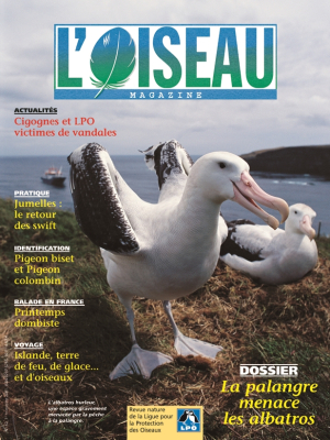L'Oiseau Mag n° 62