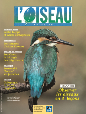 L'Oiseau Mag n° 61