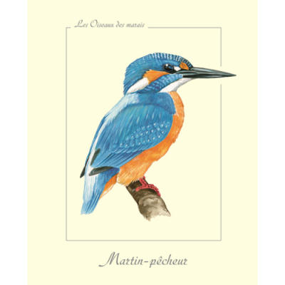 Affiche naturaliste, Martin pêcheur