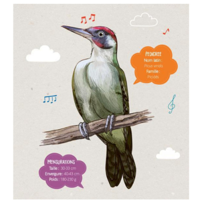RustiKids, reconnaître le chant des oiseaux + CD Offert
