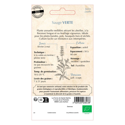 Graines Bio Sauge Verte