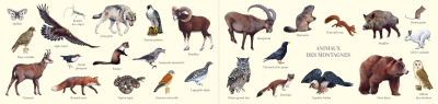Carte postale double 21 x 10 cm - Animaux des montagnes