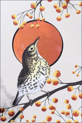 Carte postale Grive musicienne