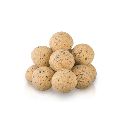 Carton de 50 boules de graisse aux insectes sans suif