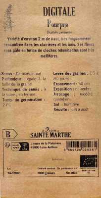 Graines Bio Digitale pourpre