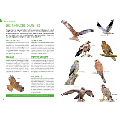 Volcans d'Auvergne, 36 belles balades, Nouvelle édition