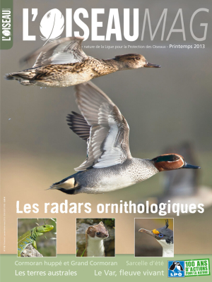 L'Oiseau Mag n°110