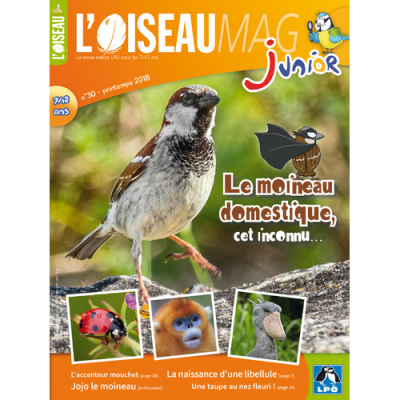 L'Oiseau Magazine Junior n°30