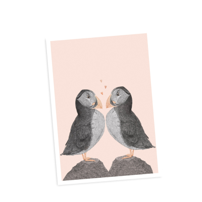 Carte postale Duo de Macareux