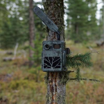 Piège photographique Zeiss Secacam 7