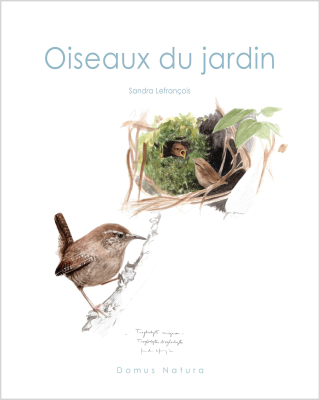 Oiseaux du jardin