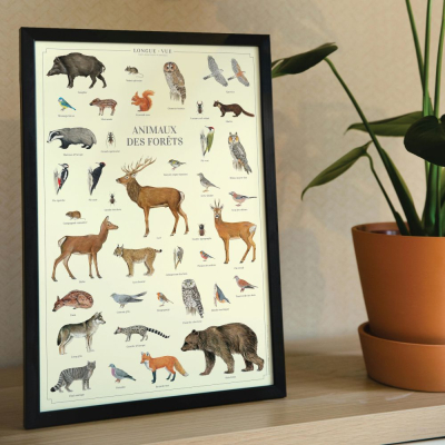 Affiche 40 x 60 cm - Animaux des forêts