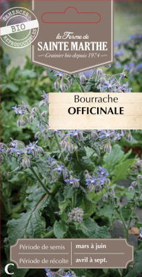 Graines Bio Bourrache officinale