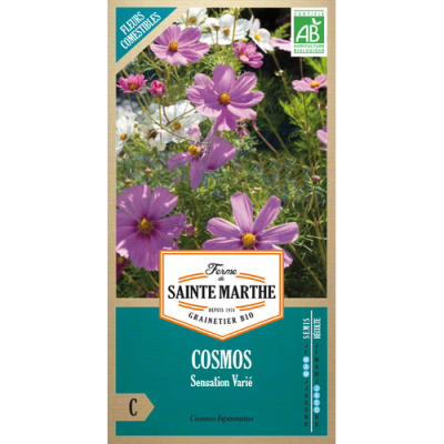 Graines Bio Cosmos Sensation varié