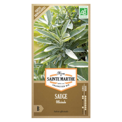 Graines Bio Sauge officinale