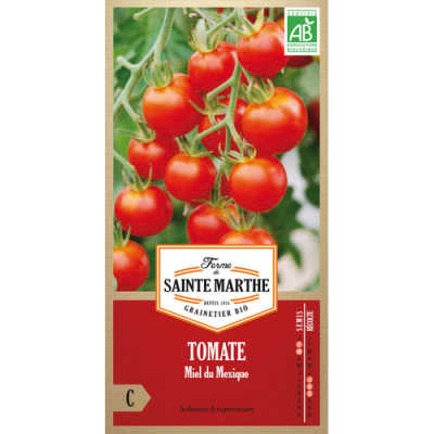 Graines Bio Tomate Miel du Mexique