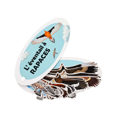 Éventail pédagogique LPO - Identifier les rapaces