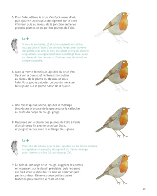 Aquarelle reconnaître peindre les oiseaux des jardins et des forêts