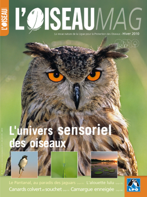 L'Oiseau Mag n°101