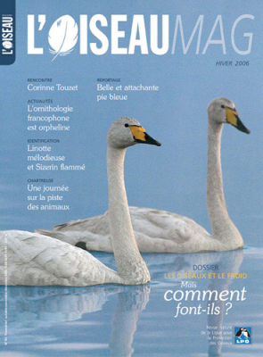 L'Oiseau Mag n° 85