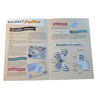 Kiquimank ? Papillons