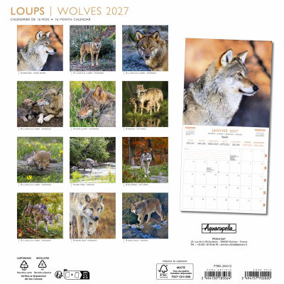 Calendrier 2027 Loups 30 x 30 cm