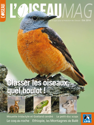 L'Oiseau Mag n°115