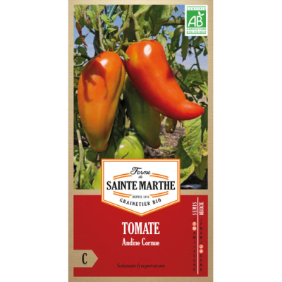 Graines Bio Tomate Andine Cornue