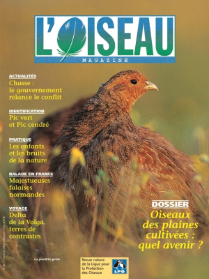 L'Oiseau Mag n° 68