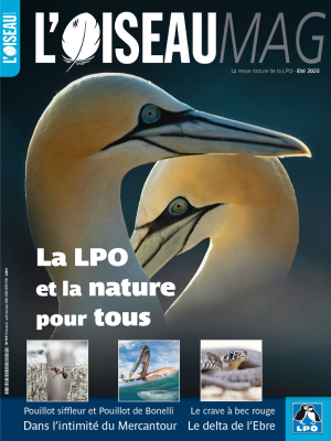 L'Oiseau Mag n° 139