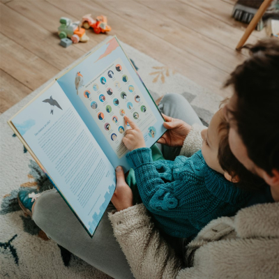 Écoute les oiseaux des villes