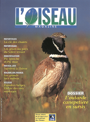 L'Oiseau Mag n° 49