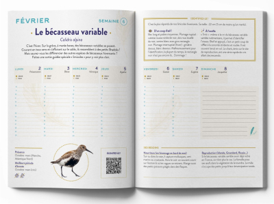 Agenda Chants des oiseaux 2026