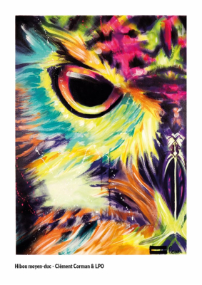 Carte postale LPO 10 x 15 cm - Hibou moyen-duc