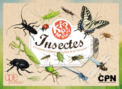 Kiquimank ? Insectes