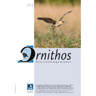 Ornithos N°20/6, Novembre-Décembre 2013